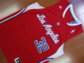 /album/los-angeles-clippers/a1-griffin-32-red-swingman-jpg/